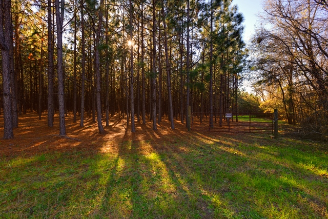 Grapevine Retreat Photo