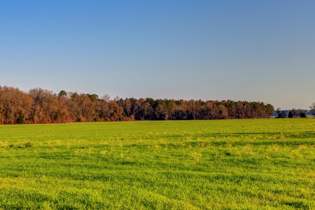 Five Chop Farm Photo