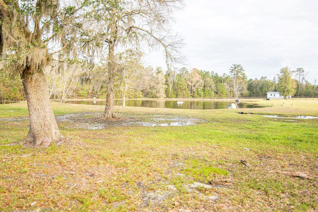 Arcola Equestrian Farm Photo