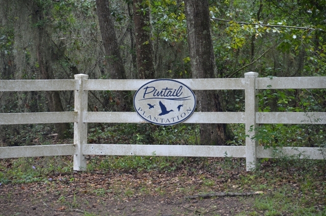 Pintail Plantation Photo