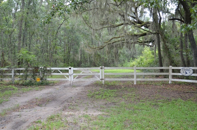 Pintail Plantation Photo