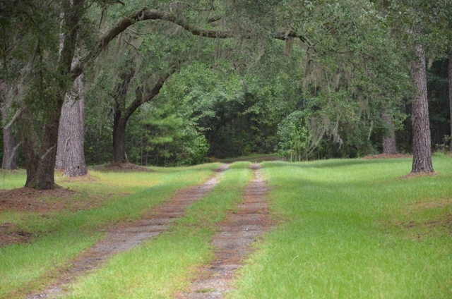 Pintail Plantation Photo