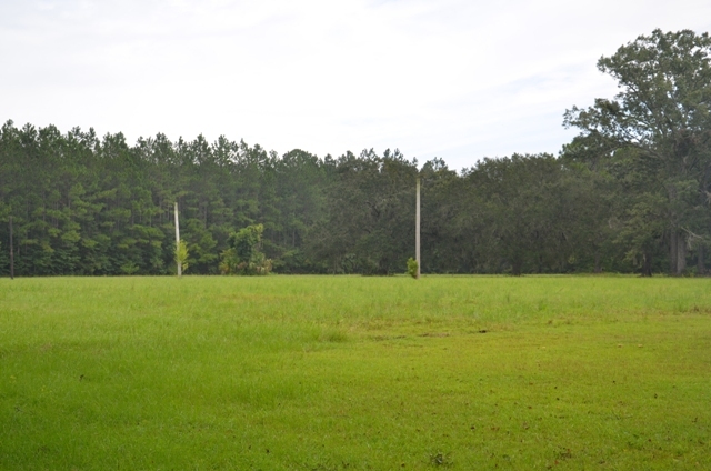 Pintail Plantation Photo