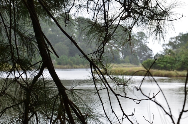 Pintail Plantation Photo