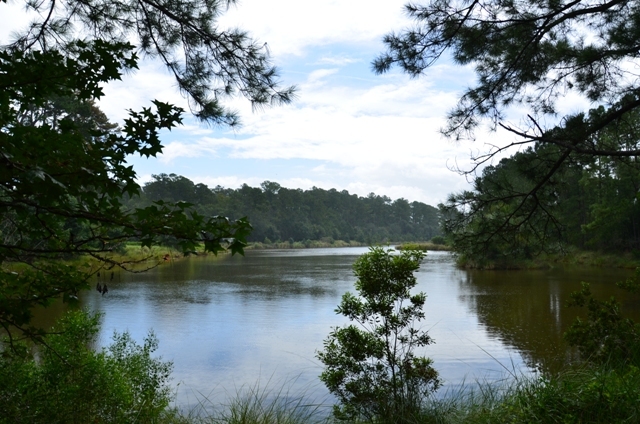 Pintail Plantation Photo