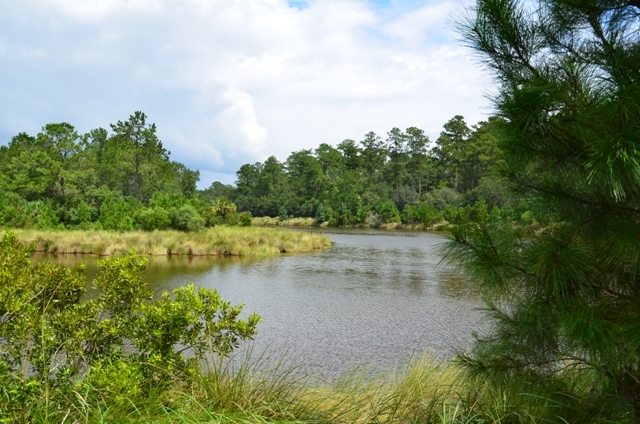 Pintail Plantation Photo