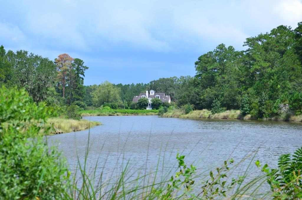 Pintail Plantation Photo