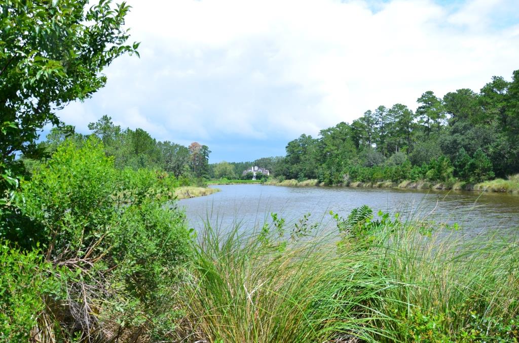 Pintail Plantation Photo