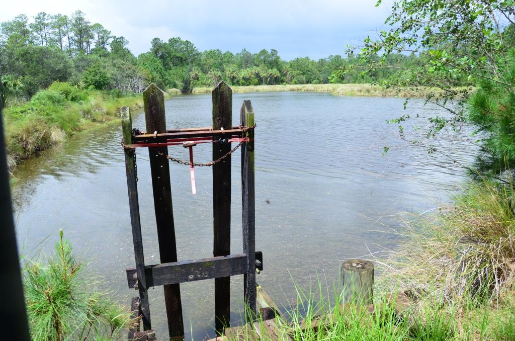 Pintail Plantation Photo