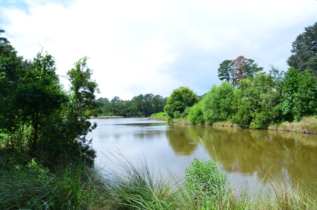 Pintail Plantation Photo