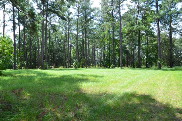 Pintail Plantation Photo