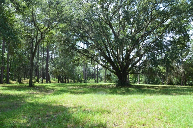 Pintail Plantation Photo