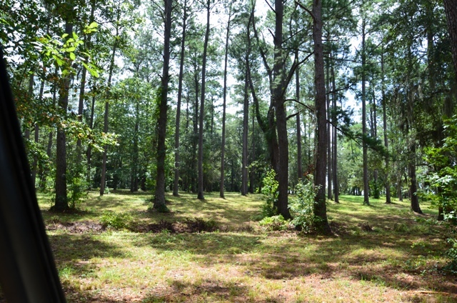 Pintail Plantation Photo