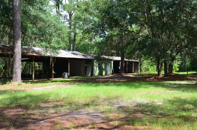 Pintail Plantation Photo