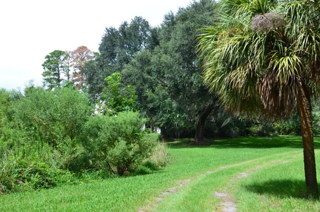 Pintail Plantation Photo