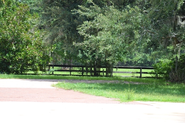 Pintail Plantation Photo