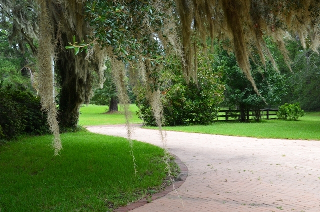 Pintail Plantation Photo