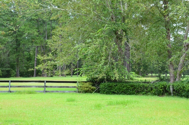 Pintail Plantation Photo