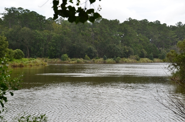 Pintail Plantation Photo