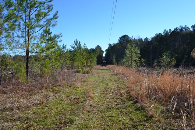 Cochran Hwy West Photo