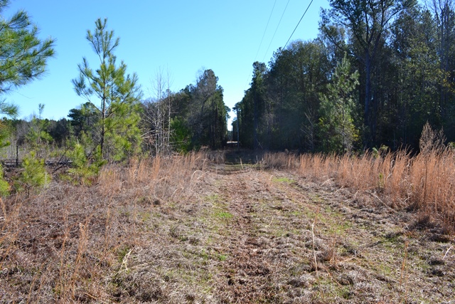 Cochran Hwy West Photo