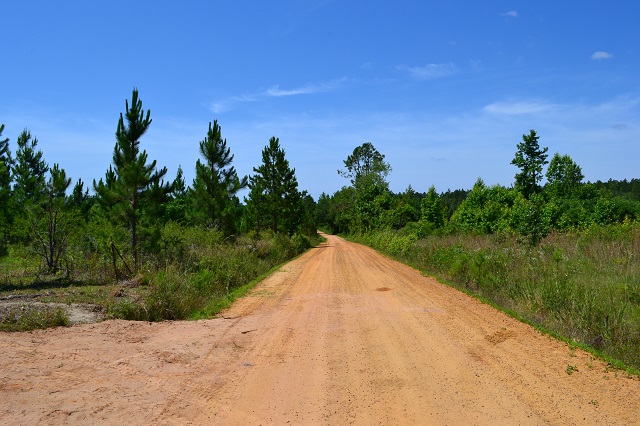 Evergreen Lane Photo