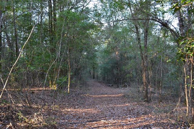 Sandy Hill Creek Photo