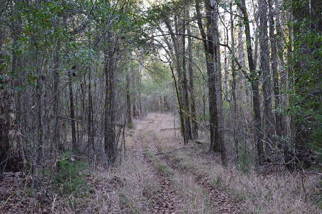 Sandy Hill Creek Photo