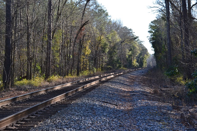 Sandy Hill Creek Photo