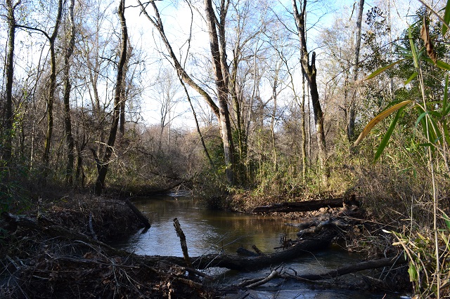 Sandy Hill Creek Photo