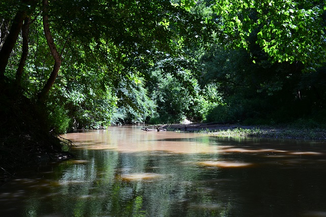 Ulcohatchee Creek Photo