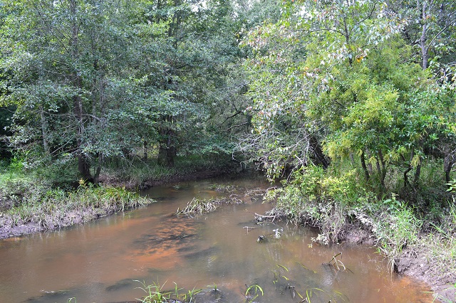 Patsiliga Creek Photo