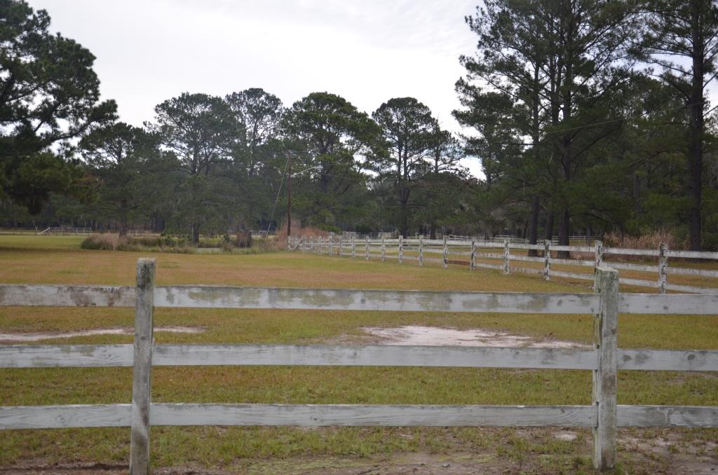 Bern Plantation Photo