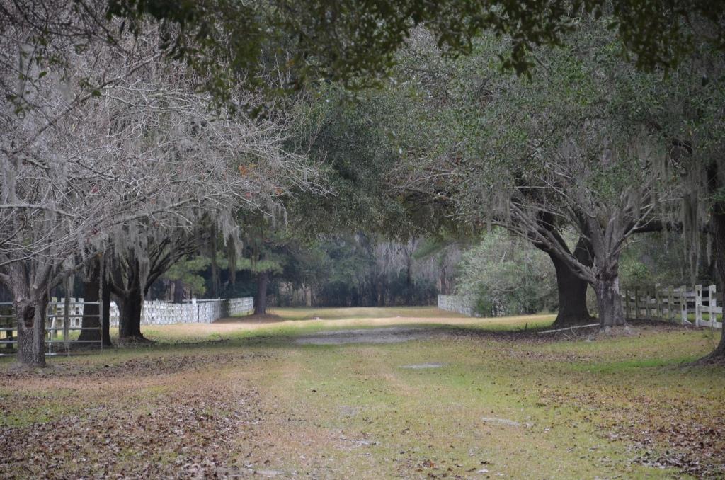 Bern Plantation Photo