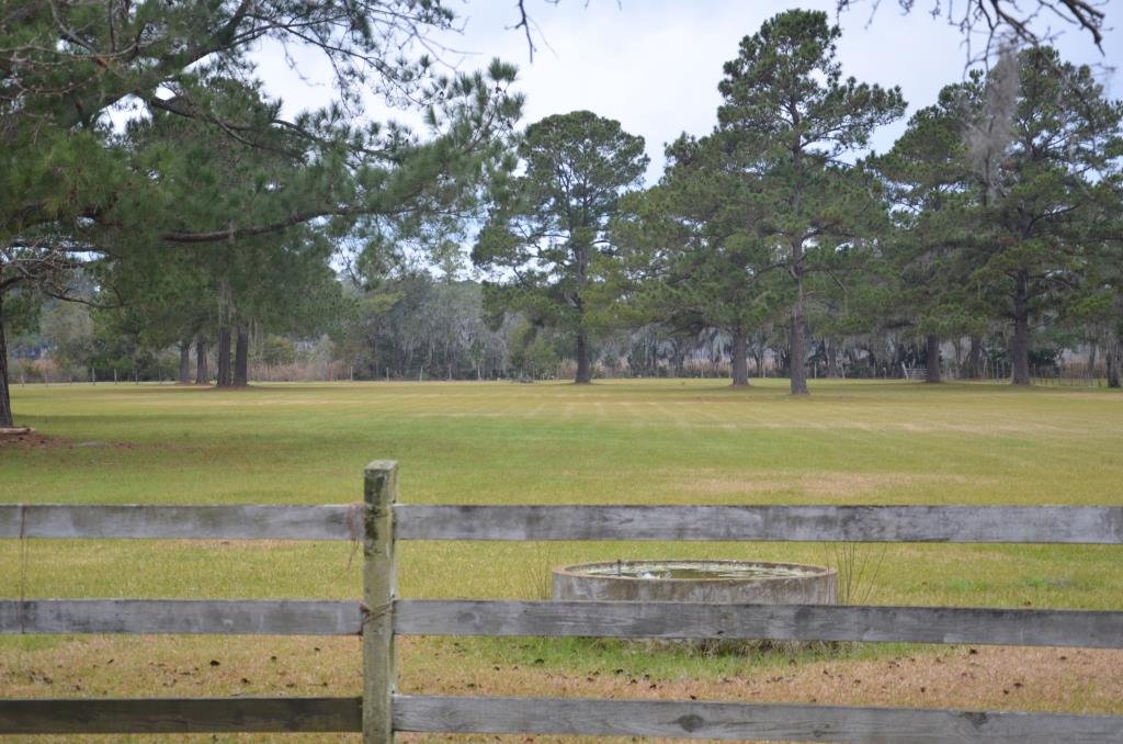 Bern Plantation Photo