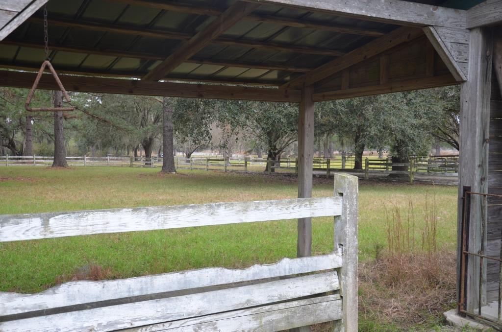 Bern Plantation Photo