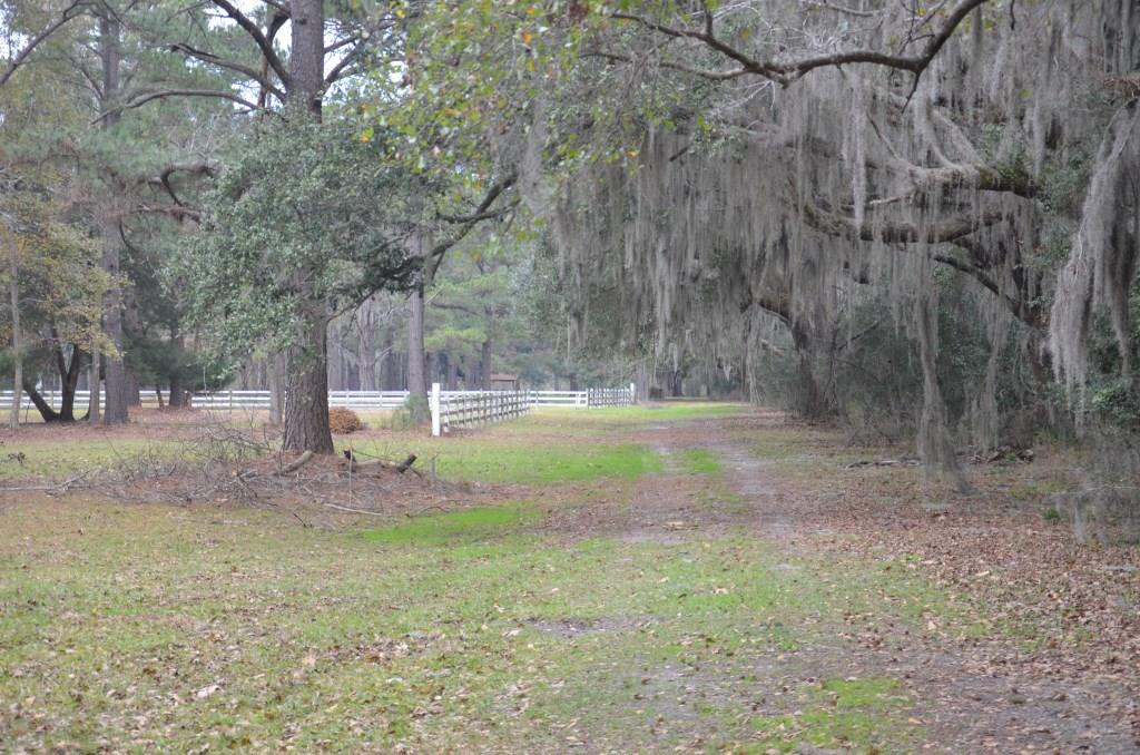 Bern Plantation Photo