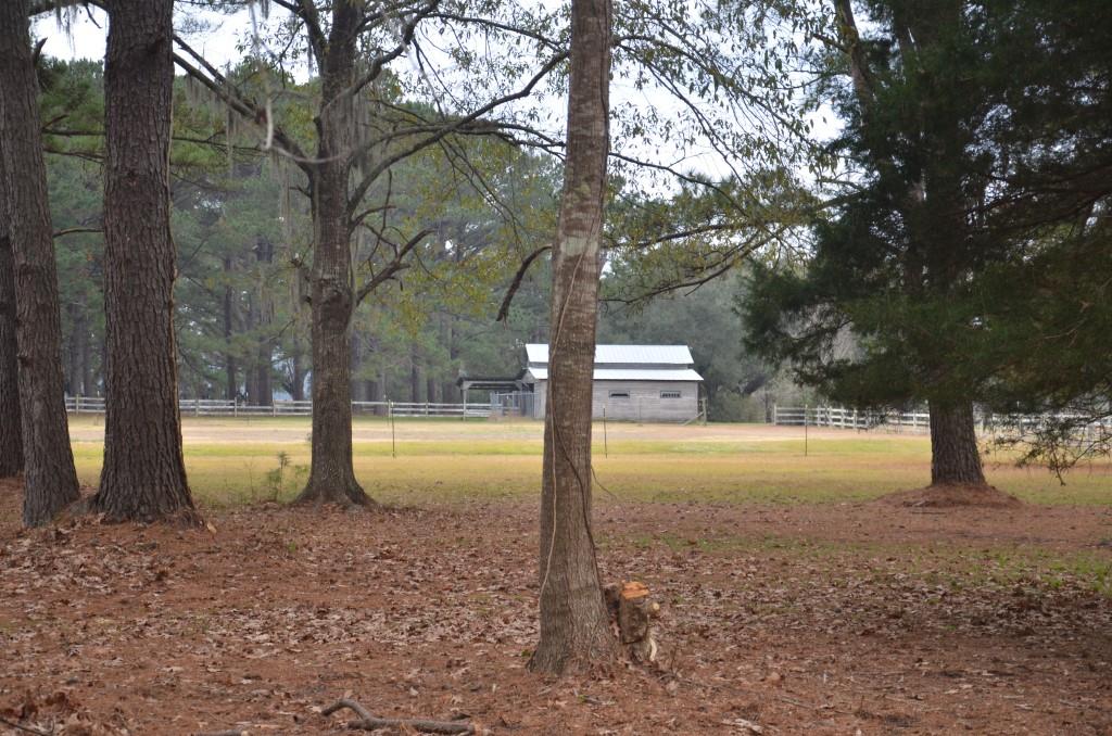 Bern Plantation Photo