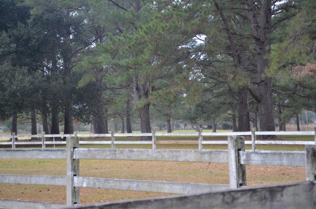 Bern Plantation Photo