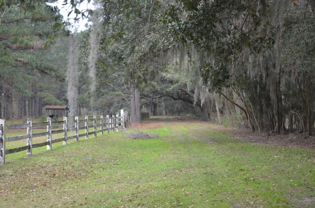 Bern Plantation Photo