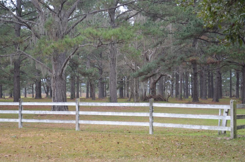 Bern Plantation Photo