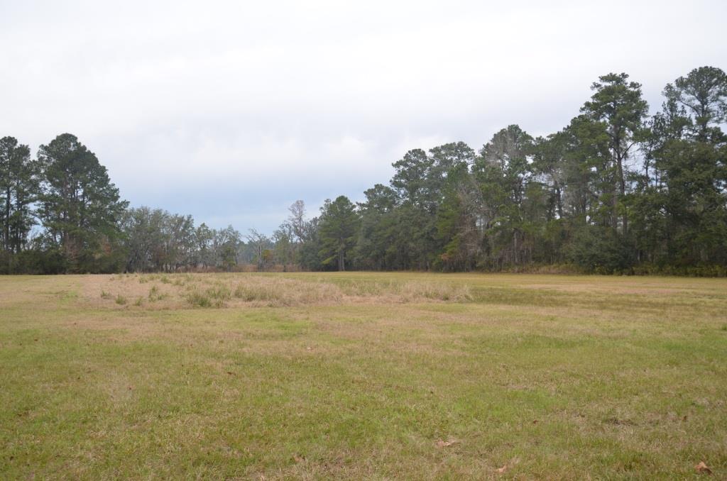 Bern Plantation Photo