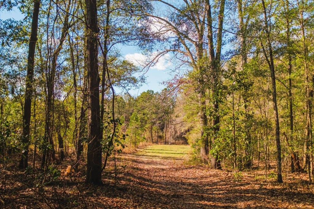 Belcher Branch Photo