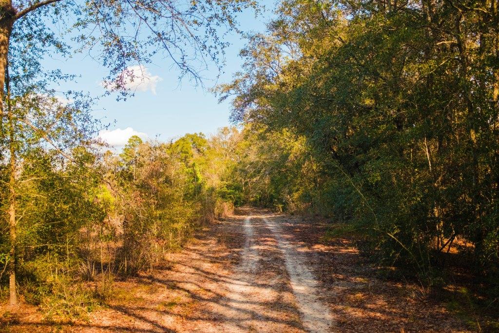 Belcher Branch Photo