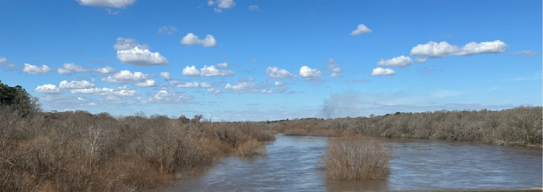 Altamaha High Bluff Main Photo