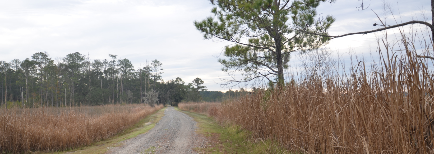 Bern Plantation Main Photo