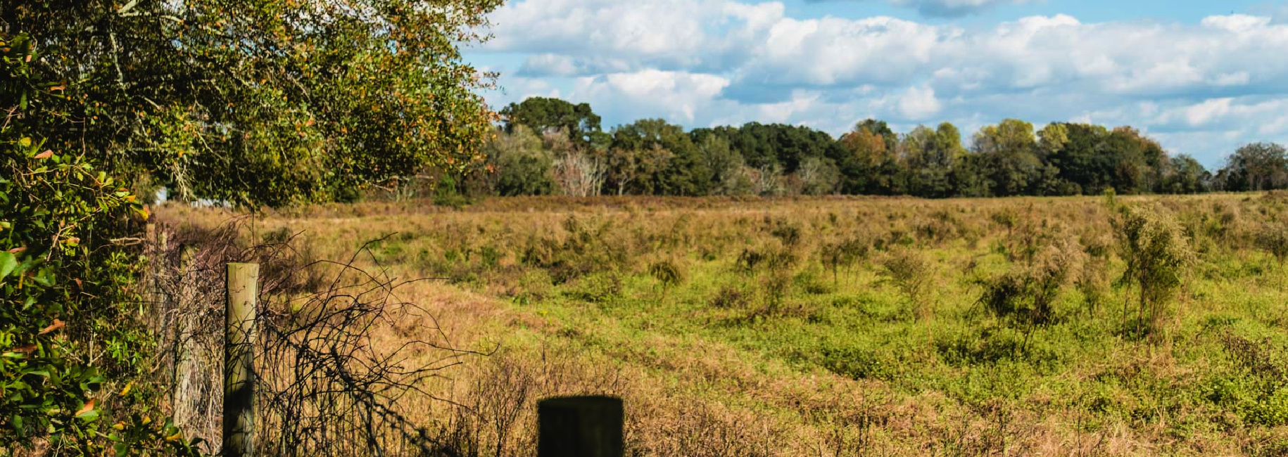 Boykin Pastures Main Photo