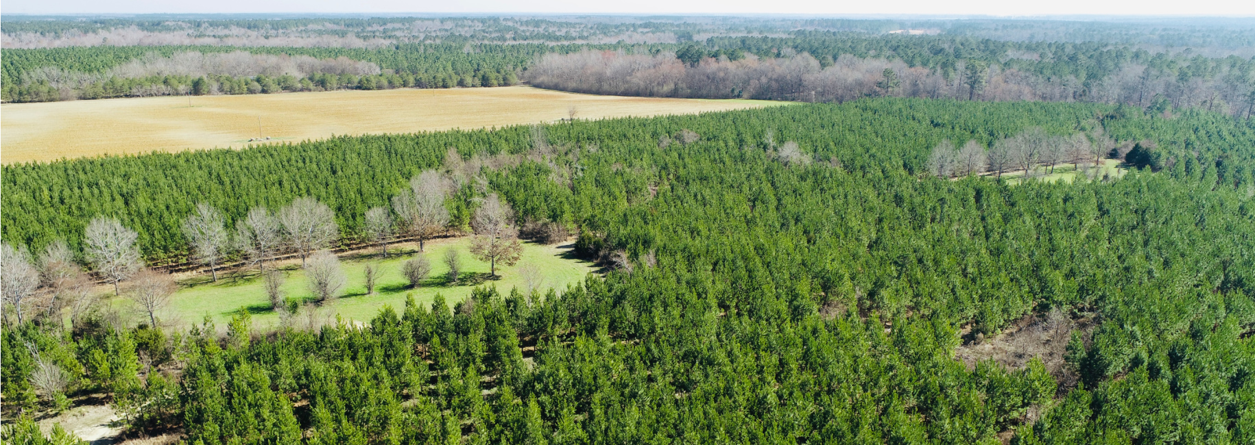 Harrison Davisboro Tract Main Photo