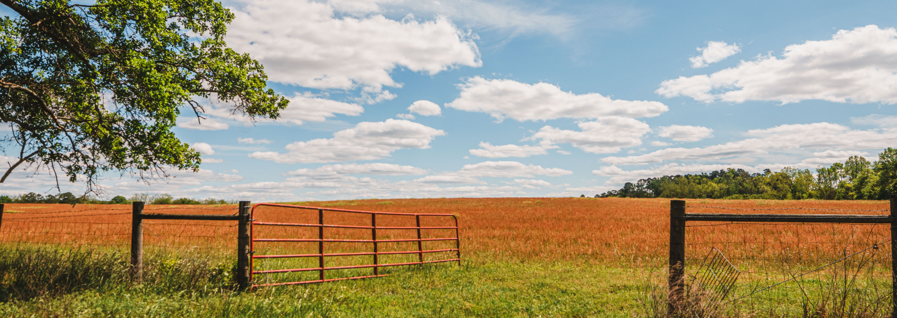 Lake Collins Farm Main Photo