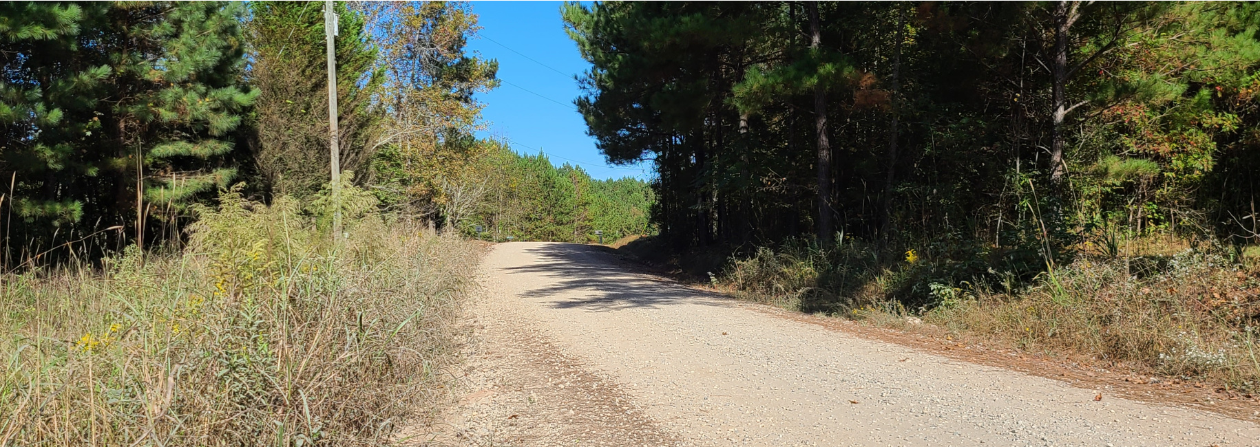 Oconee Forest Road Main Photo